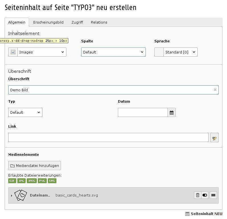 Screenshot Formular für die Erstellung eines Bildinhaltstypen in TYPO3